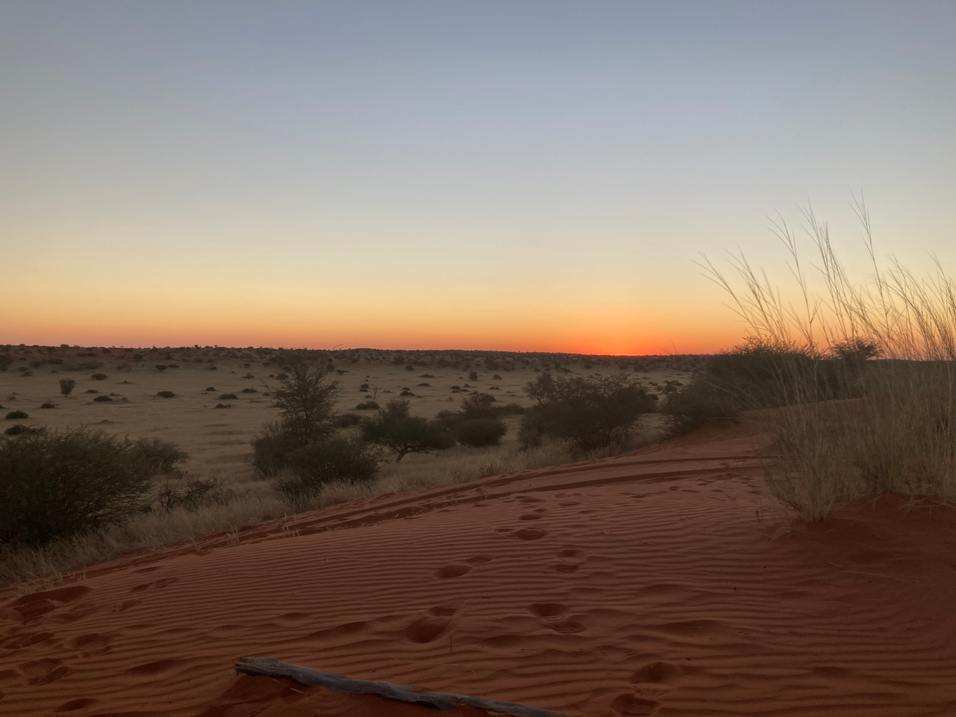 Red Kalahari dune sand rippled by wind, with scattered scrub and a burning orange sunset on the horizon