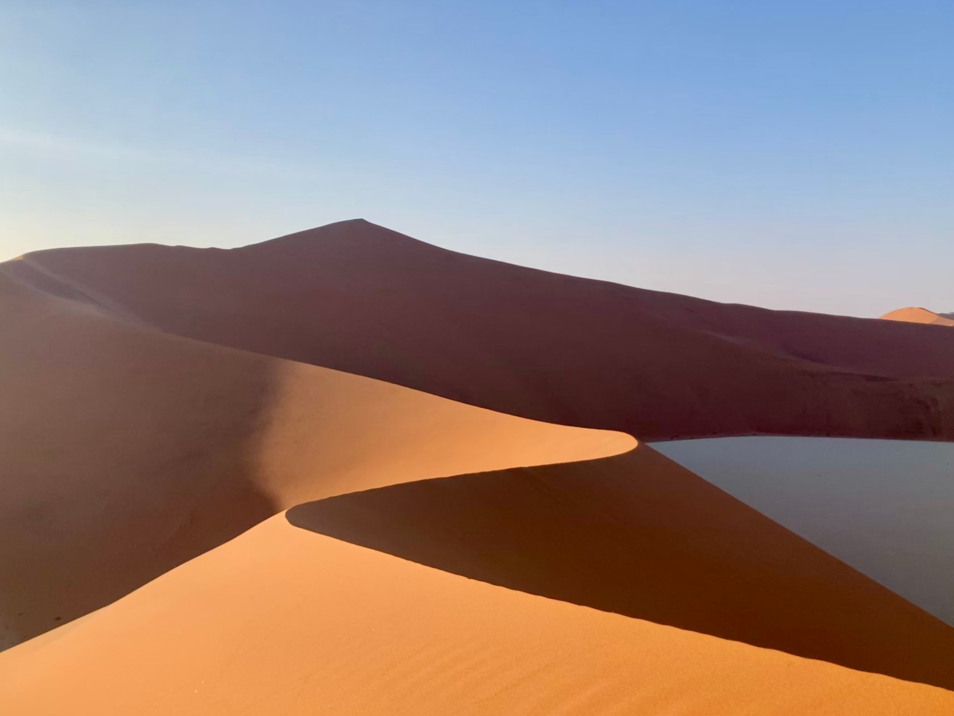 Curving crest of a vast red dune catching first light in the Namib