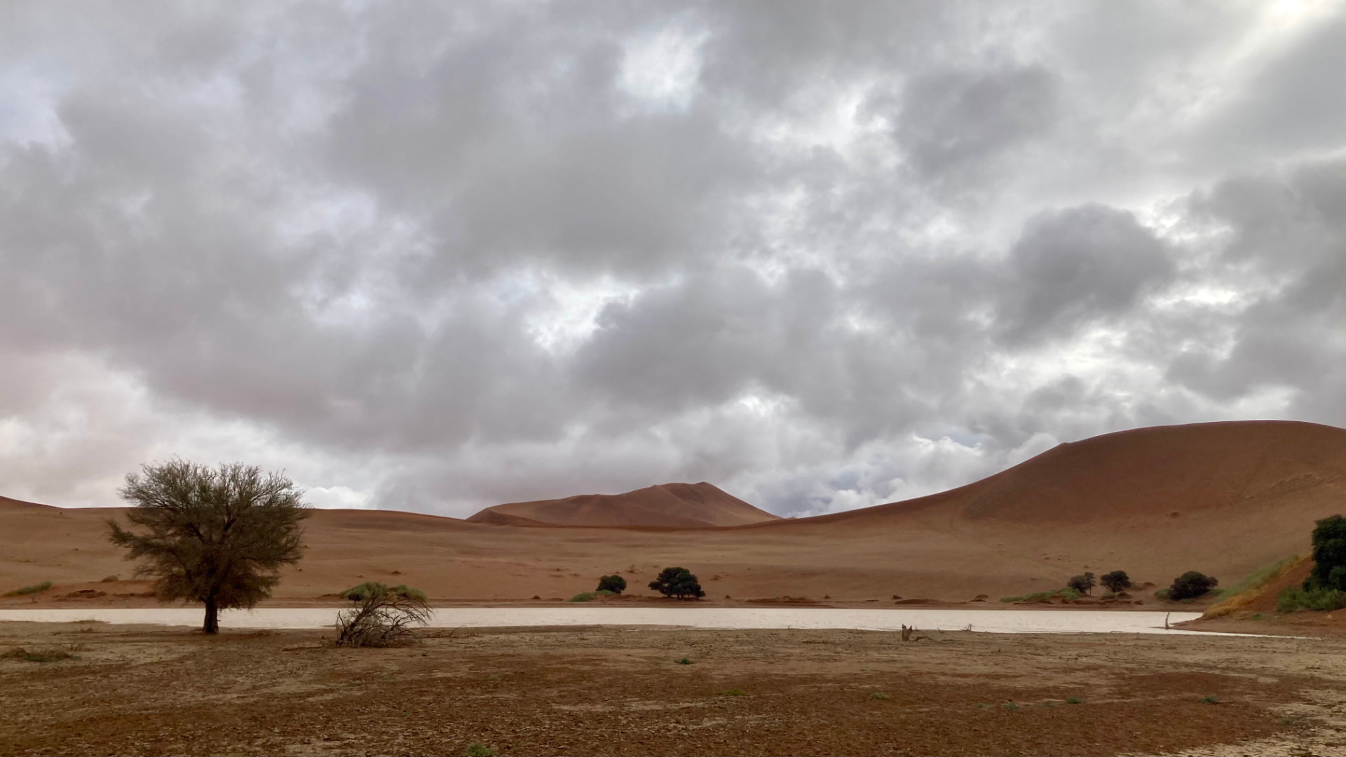 Storm clouds over Sossusvlei with rain water pooled on the pan below the dunes