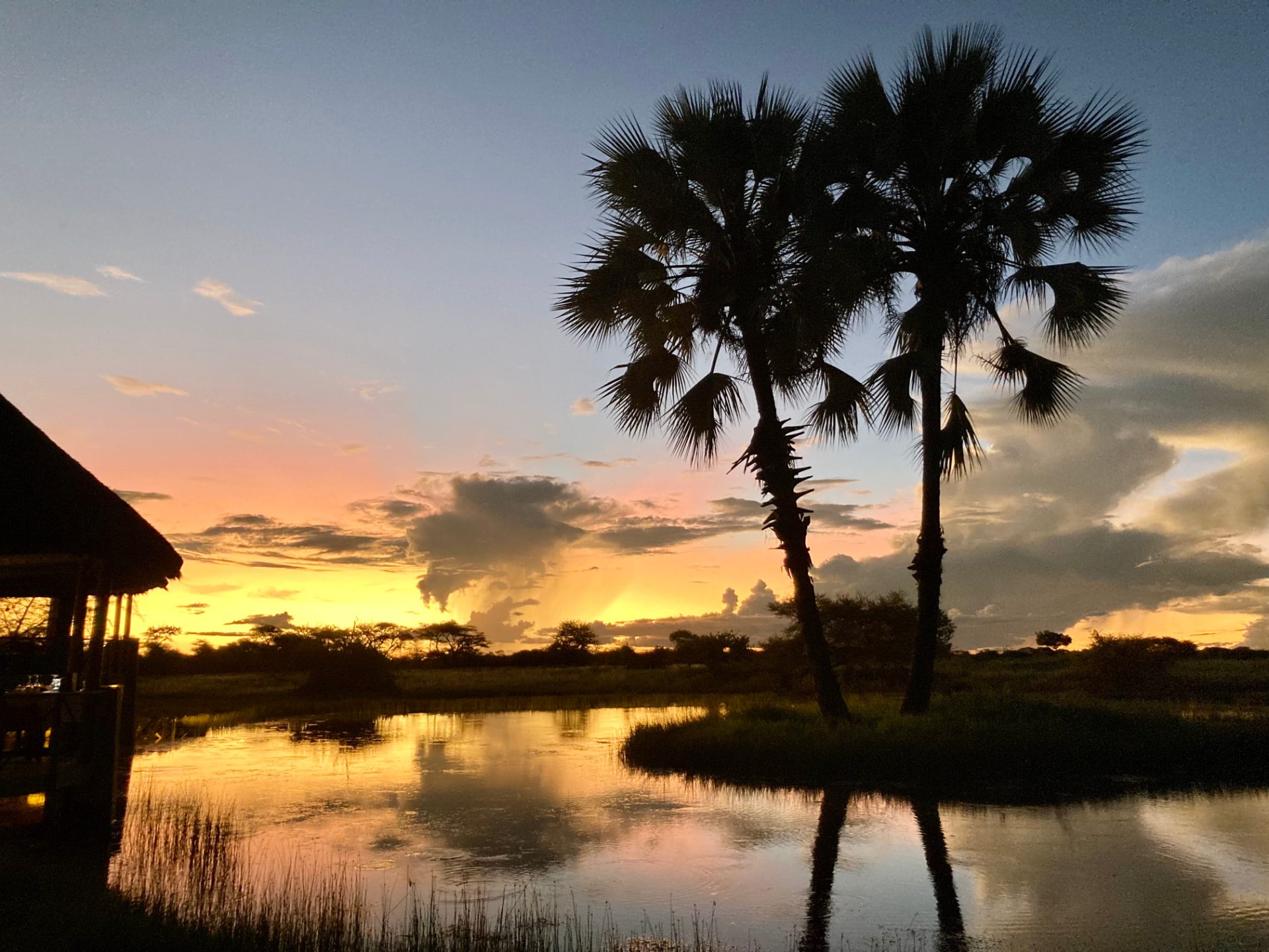 Palm trees silhouetted beside a still waterhole as the sky turns gold at sunset