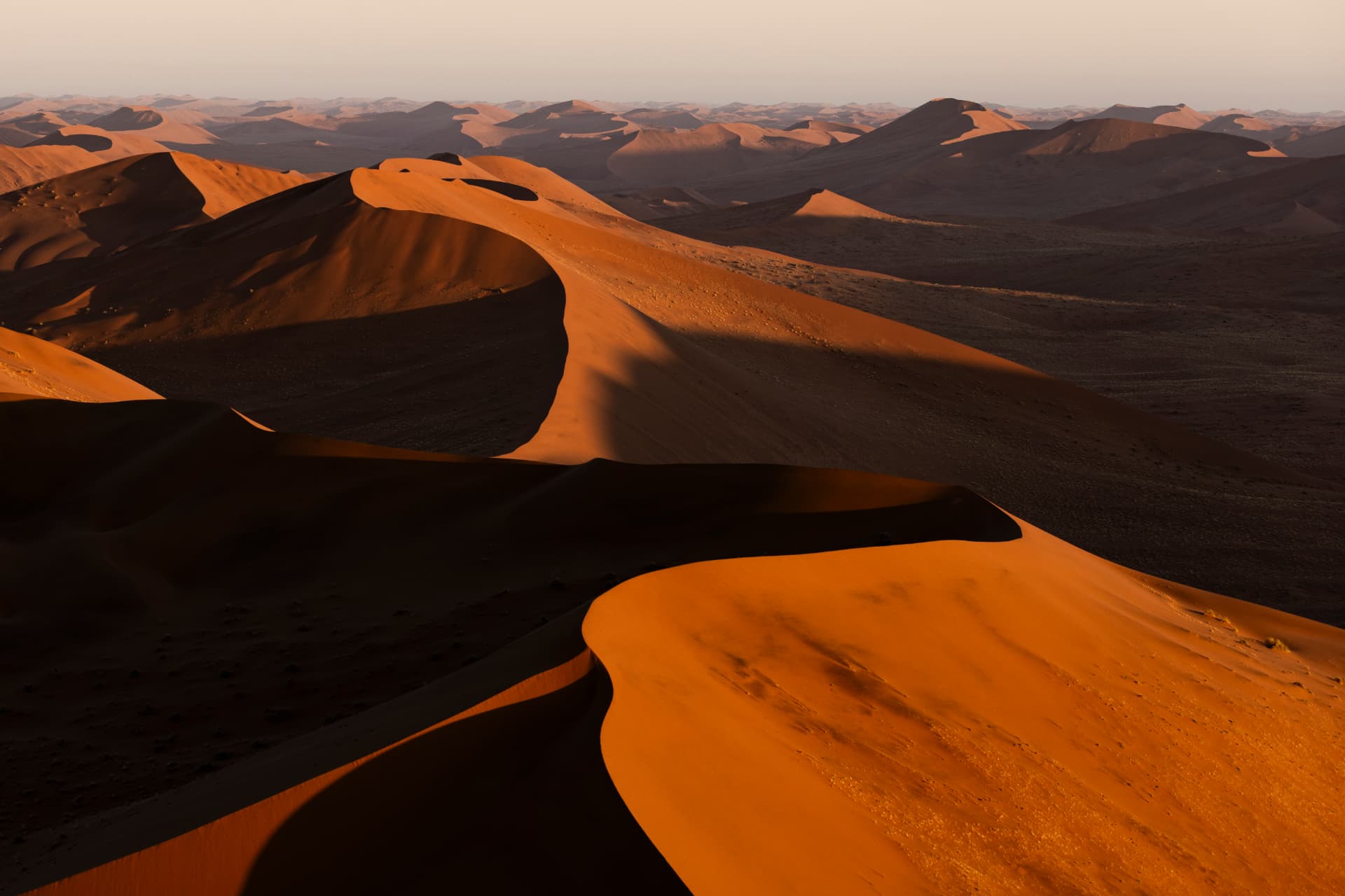 Vast red Sossusvlei dunes rolling to the horizon in low golden light