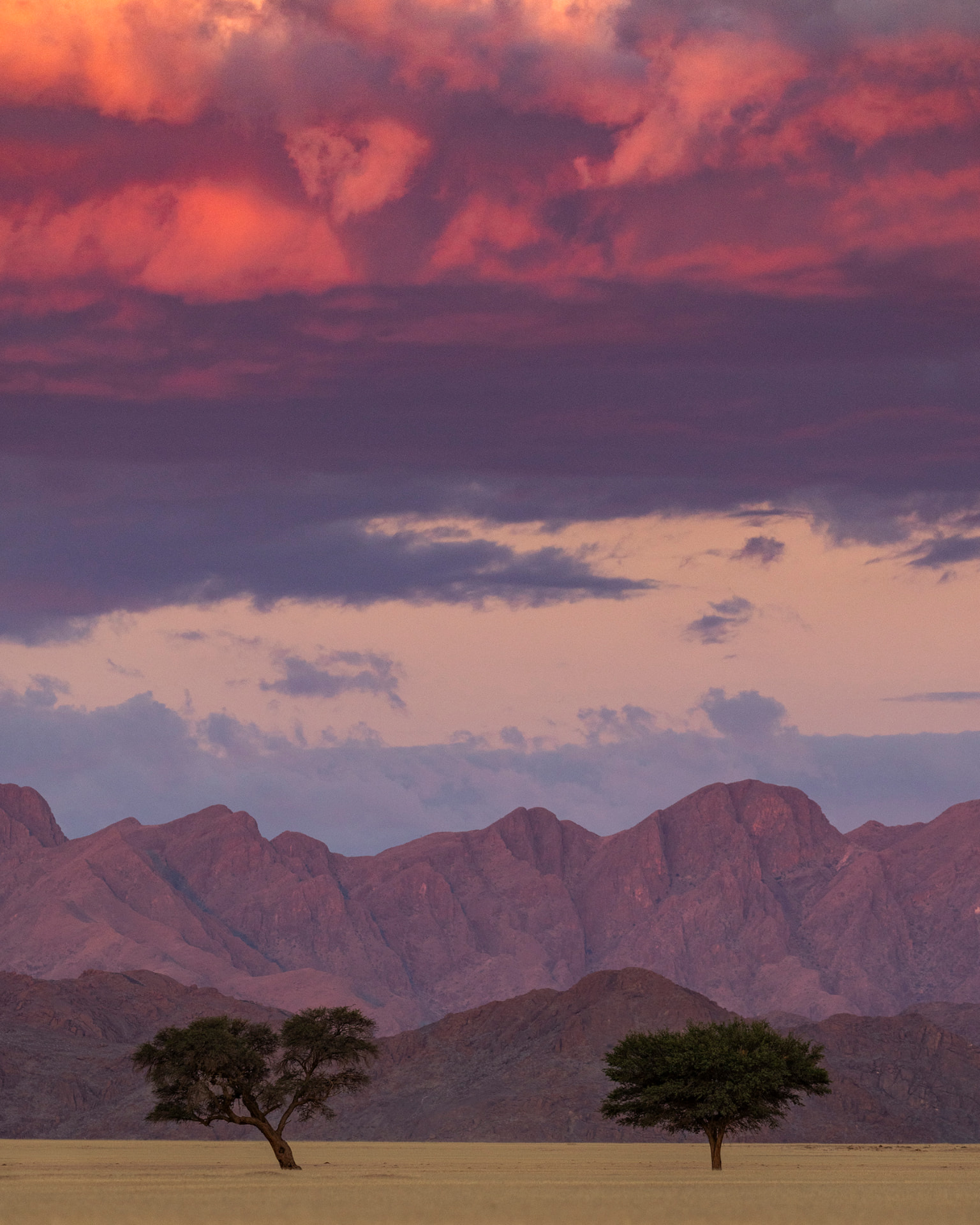 A pink and violet Namibian sky at dusk over open plains