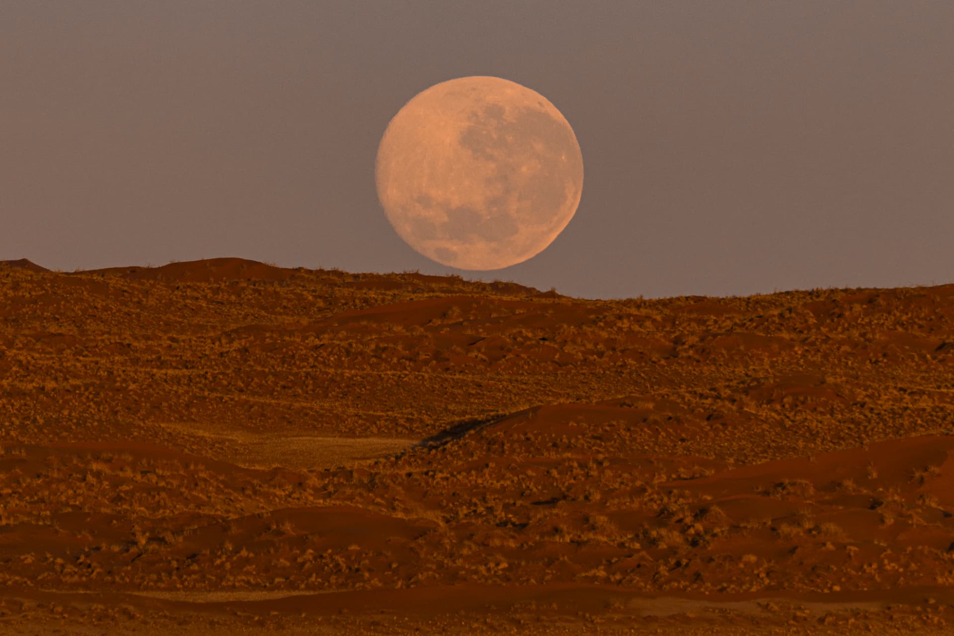 A full moon rising over rolling red desert hills at dusk
